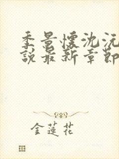 季景怀沈沅溪小说最新章节免费阅读