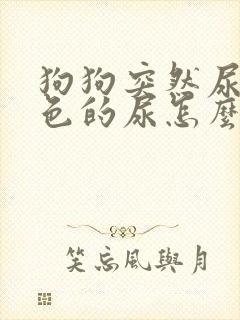 狗狗突然尿出红色的尿怎么办