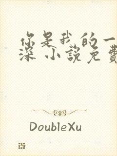 你是我的一往情深 小说免费阅读