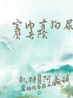 室内有狗尿味怎么去除