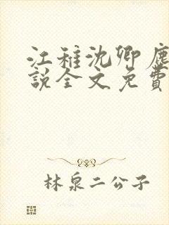 江稚沈卿尘的小说全文免费阅读最新贺