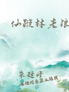 仙踪林老狼信息