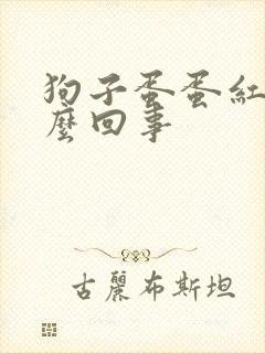 狗子蛋蛋红肿怎么回事