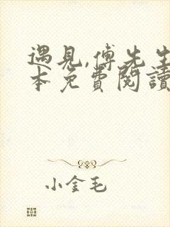 遇见,傅先生全本免费阅读