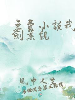 免费小说我有一剑叶观