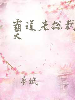 霸道老总裁宠上天