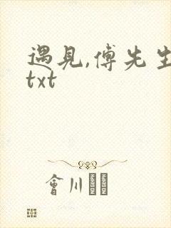 遇见,傅先生 txt