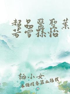 超品医圣叶辰夏若雪孙怡