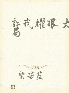 许我耀眼 大结局