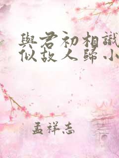 与君初相识·恰似故人归小说