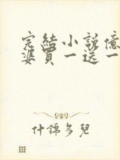 完结小说亿万老婆买一送一