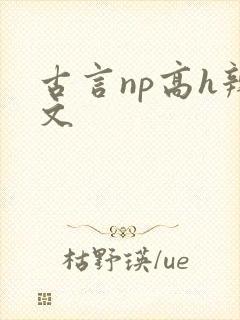 古言np高h辣文