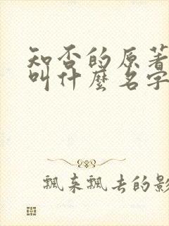 知否的原著小说叫什么名字