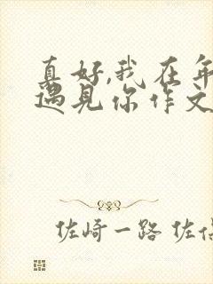 真好,我在年少遇见你作文600字