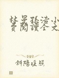 林曼孙浩小说免费阅读全文最新章节