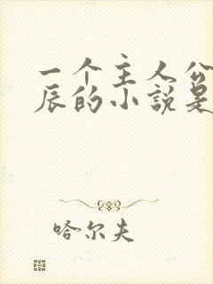 一个主人公叫叶辰的小说是什么