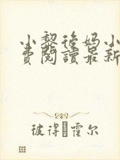 小黎后妈小说免费阅读最新章节更新