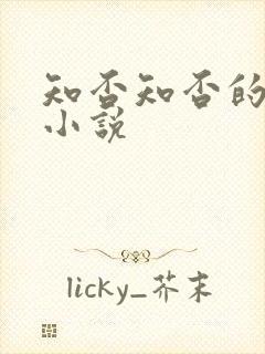 知否知否的原著小说