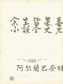 余生皆是喜欢你小说全文免费阅读