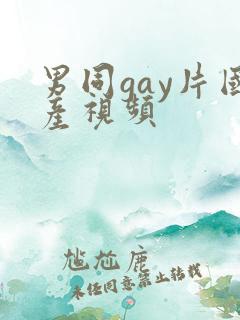 男同gay片国产视频