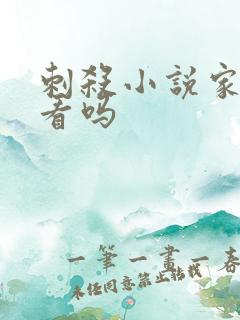 刺杀小说家 好看吗