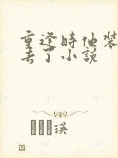 重逢时他装不下去了小说