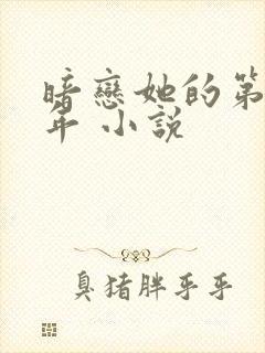 暗恋她的第十一年 小说