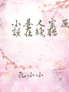 小巷人家原著小说在线听