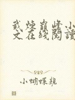 武炼巅峰小说全文在线阅读