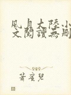 风月大陆小说全文阅读无删减