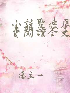 小说圣墟辰东免费阅读全文