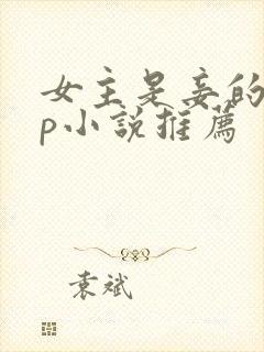 女主是妾的无cp小说推荐