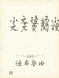 小文后妈小说全文免费阅读最新章节