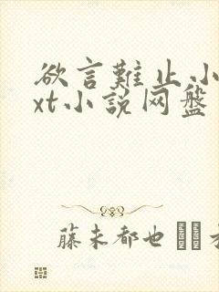 欲言难止小说txt小说网盘资源