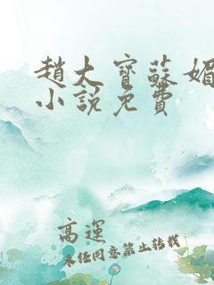 赵大宝苏媚儿媳小说免费