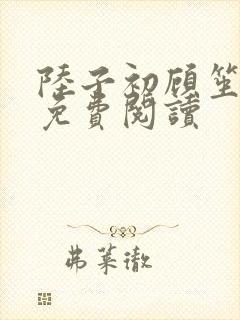 陆子初顾笙小说免费阅读