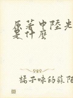 原著中陆光结局是什么