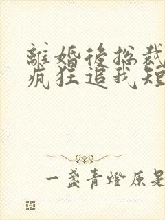 离婚后总裁前夫疯狂追我短剧