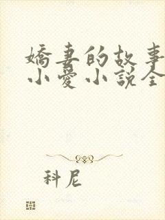 娇妻的故事吴勇小爱小说全文阅读