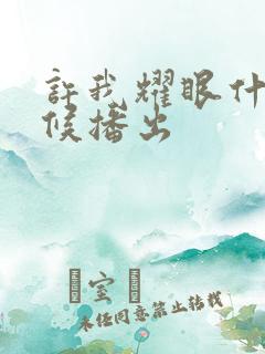 许我耀眼什么时候播出