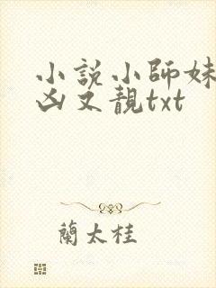 小说小师妹她又凶又靓txt
