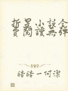 折星小说全文免费阅读无弹窗