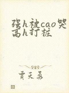 强h被cao哭高h打桩