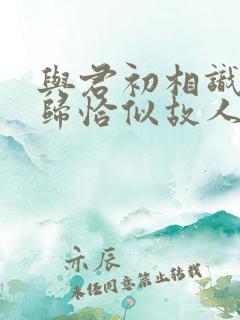 与君初相识故人归恰似故人归在线播放