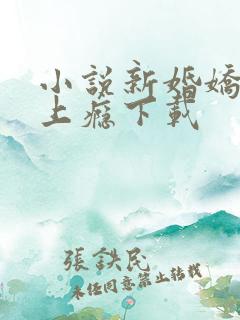 小说新婚娇妻宠上瘾下载