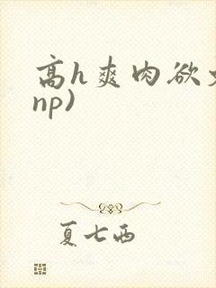 高h爽肉欲文(np)