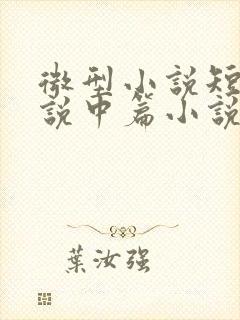 微型小说短篇小说中篇小说长篇小说的确定