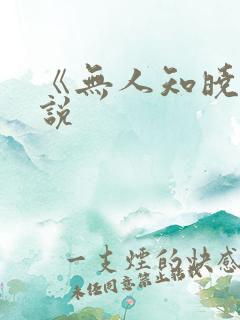 《无人知晓》小说