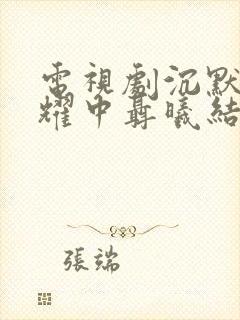 电视剧沉默的荣耀中聂曦结局