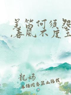 羌笛何须怨杨柳,春风不度玉门关打一生肖